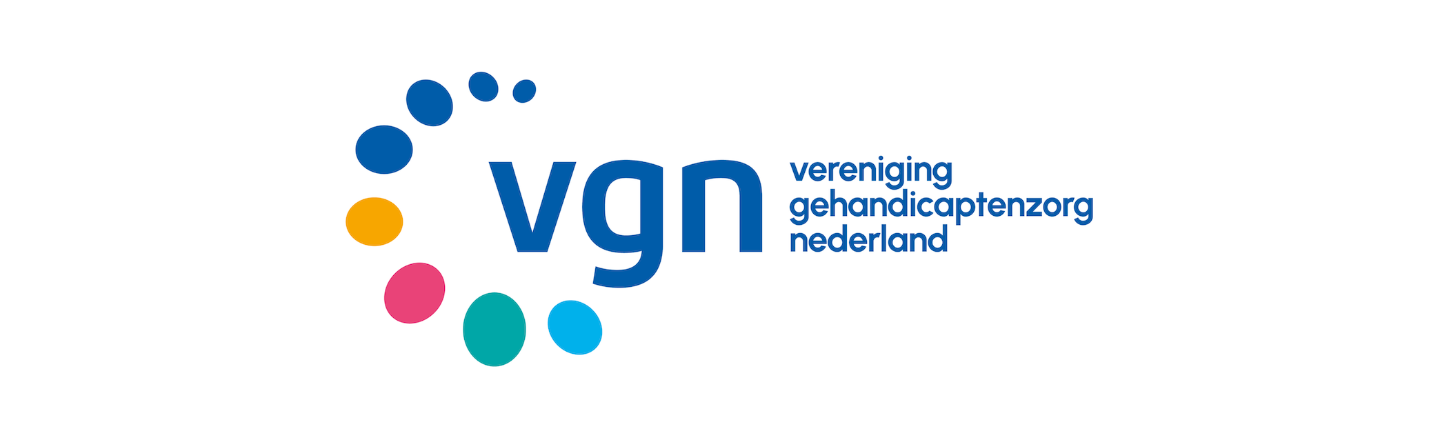 VGN logo